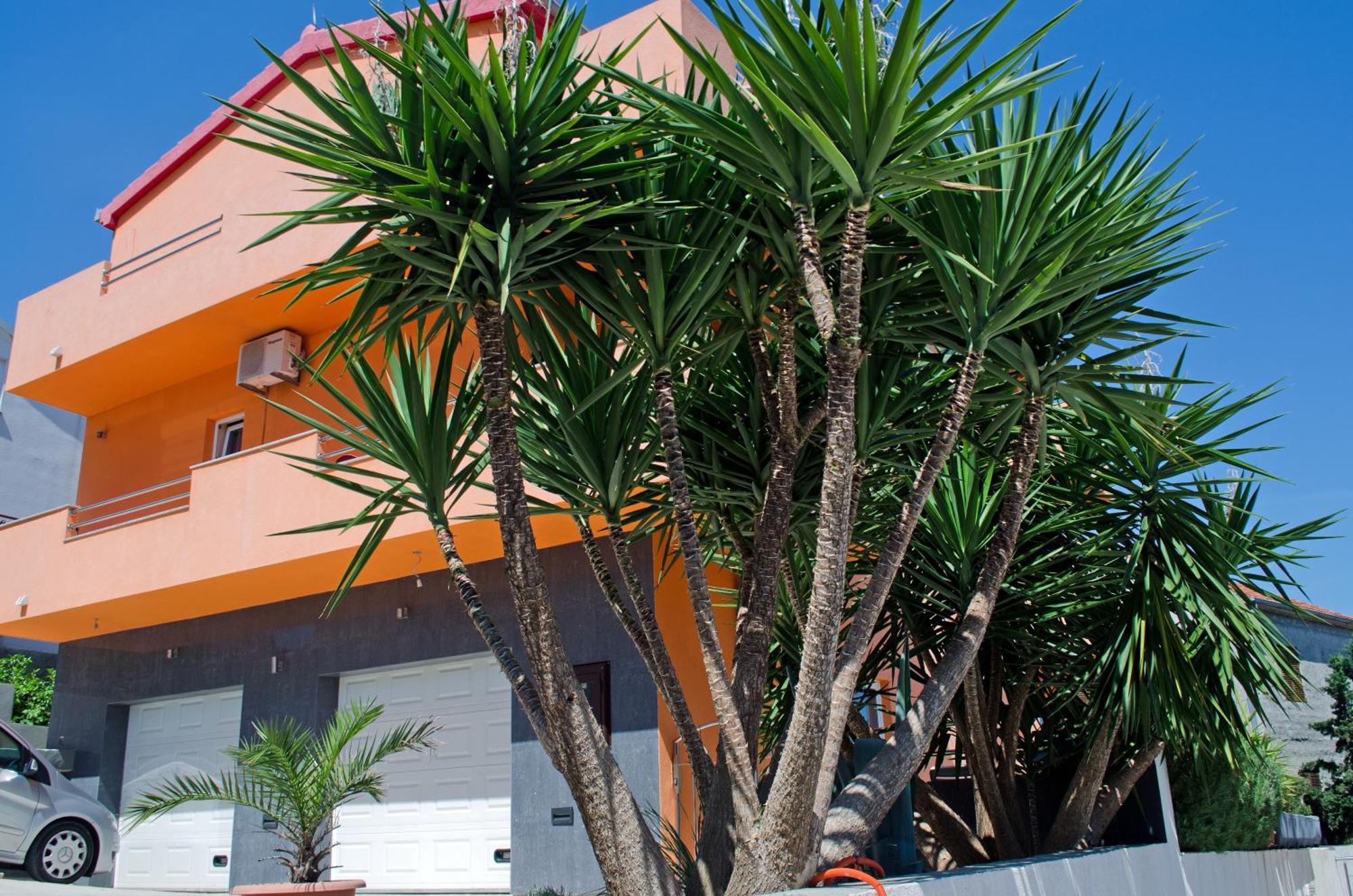 Apartments Villa Sunrise Okrug Gornji Dış mekan fotoğraf